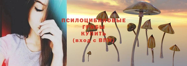 твердый Абдулино