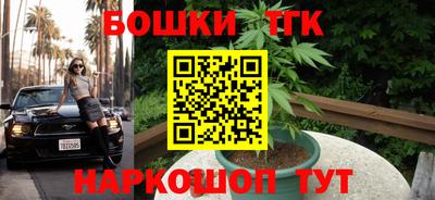 соль ск Лесосибирск