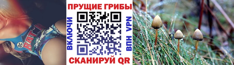 Галлюциногенные грибы MAGIC MUSHROOMS  даркнет сайт  Истра 