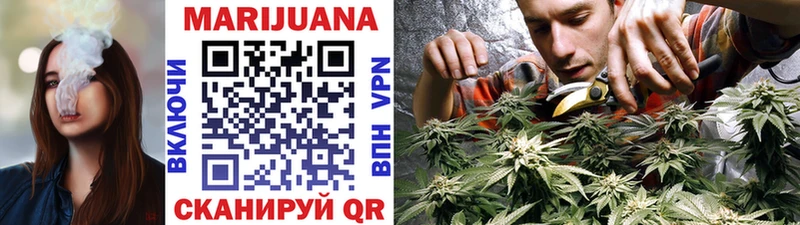 закладки  Истра  Канабис Bruce Banner 